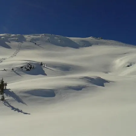 アパート Gartenapartment