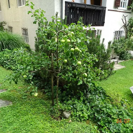 Apartment Gartenapartment *