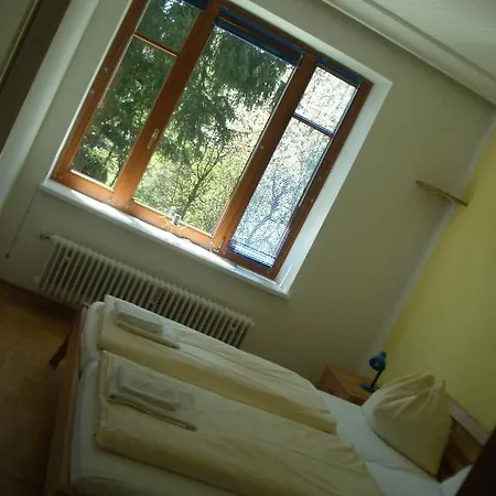 Gartenapartment * ツェル アム ゼー