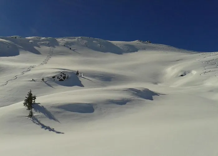 شقة غارتنابارتمنت