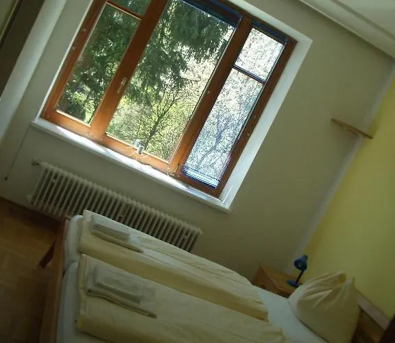 غارتنابارتمنت * زيل أم سي