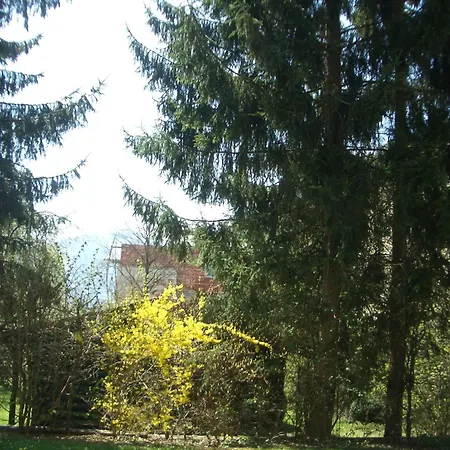 Apartment Gartenapartment