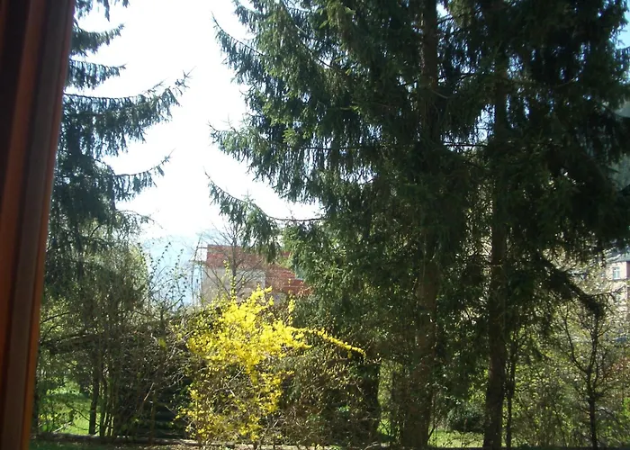 Apartment Gartenapartment